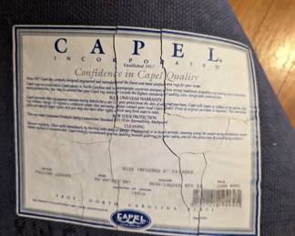 Capel Area Rug
