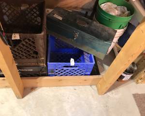 Items Located In The Unfinished Area Of The Lower Level