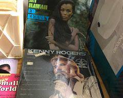 Items Located In The Unfinished Area Of The Lower Level