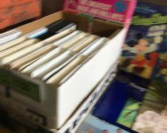 Items Located In The Unfinished Area Of The Lower Level