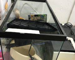 Items Located In The 2nd Finished Area Of The Lower Level