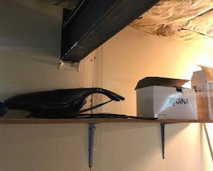 Items Located In The Unfinished Area Of The Lower Level