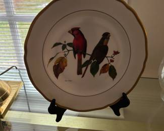 DOZENS OF SPODE COLLECTOR  BIRD PLATES.