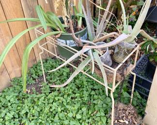 Plant stand and plants.