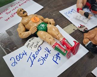 Tot Wrestling Figure