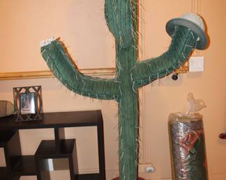 Several cactus/sizes
