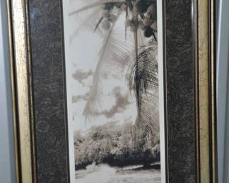 Signed Black & White Photograph by Thea Schrack is Framed & Double Matted, Titled "Equatorial Breeze II" 29" x 19", ($65).