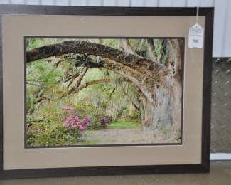 American Artist Marc Garrison (b. 1951) Color Photograph Titled, "Magnolia Park" Framed & Double Matted, Signed Inverso 24.75" x 19", ($195).