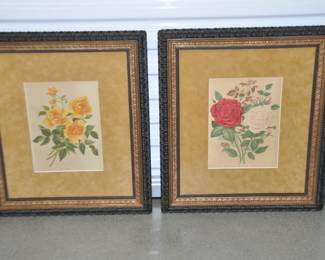 These are Just So Pretty! Sold Separately These are Antique Botanical Engravings, "Helene Paul" & "Ma Capucine" c. 1880, Elegantly Framed and Matted. 21" x 24" Overall, ($250 Each).