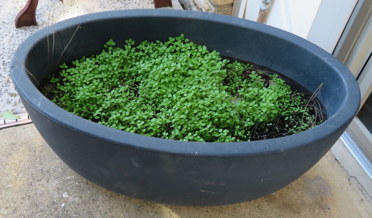 SUNDAY CLEARANCE SALE J. DARLING ESTATE SALES... starts on 11/10/2023