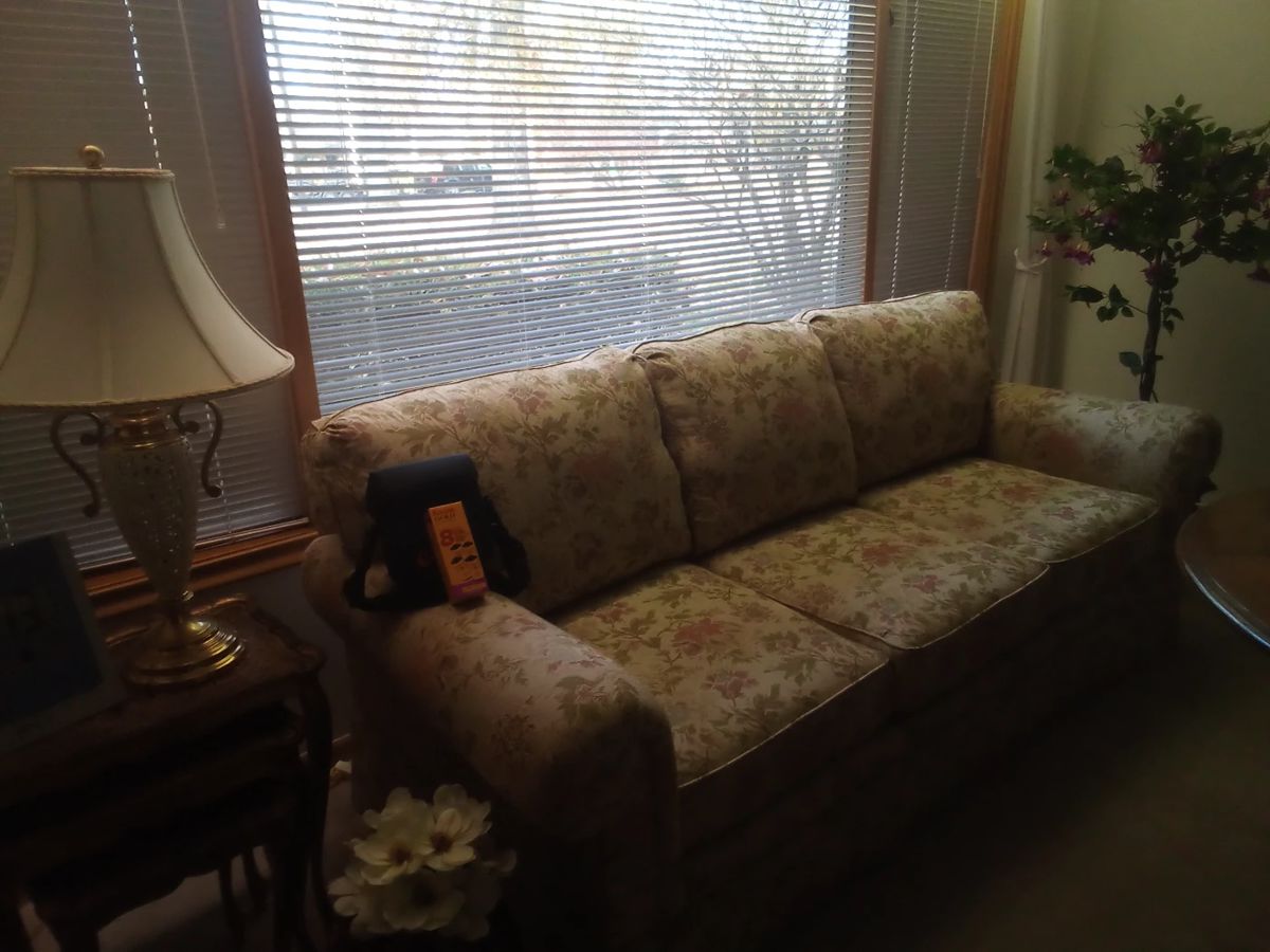 Pat's Estate Sale in Livonia, MI starts on 11/17/2023