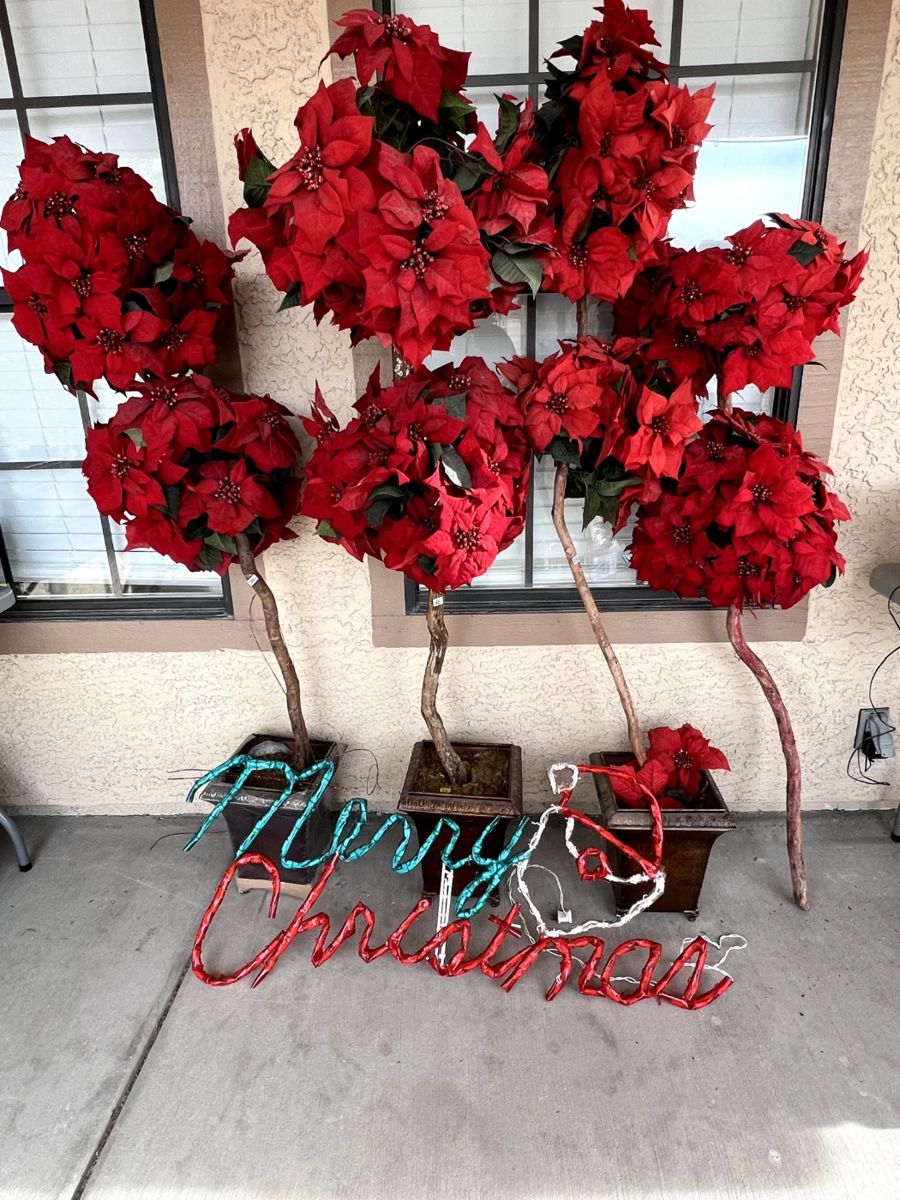 Estate Sale Los Prados in Las Vegas, NV starts on 12/1/2023