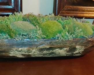 Dough bowl with moss