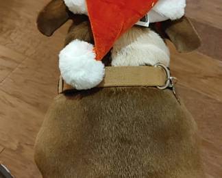 The santa hat didn't go over very well! 