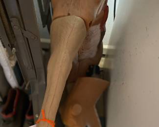 this is a practice deer