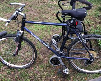 Diamond Back bike