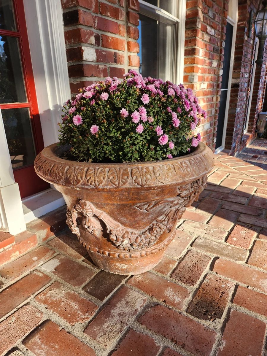 Up to 50 off Elegant Estate Sale in New Orleans, LA starts on 11/18/2023