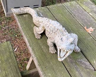 Watch out for the Gator baby!