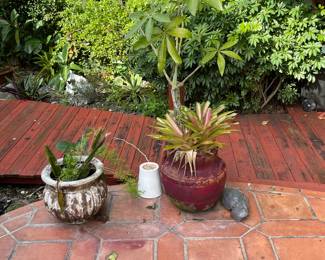 Loads of Potted Plants