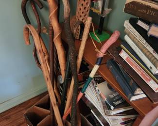 Walking sticks canes