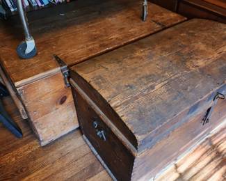 Primitive wood trunks