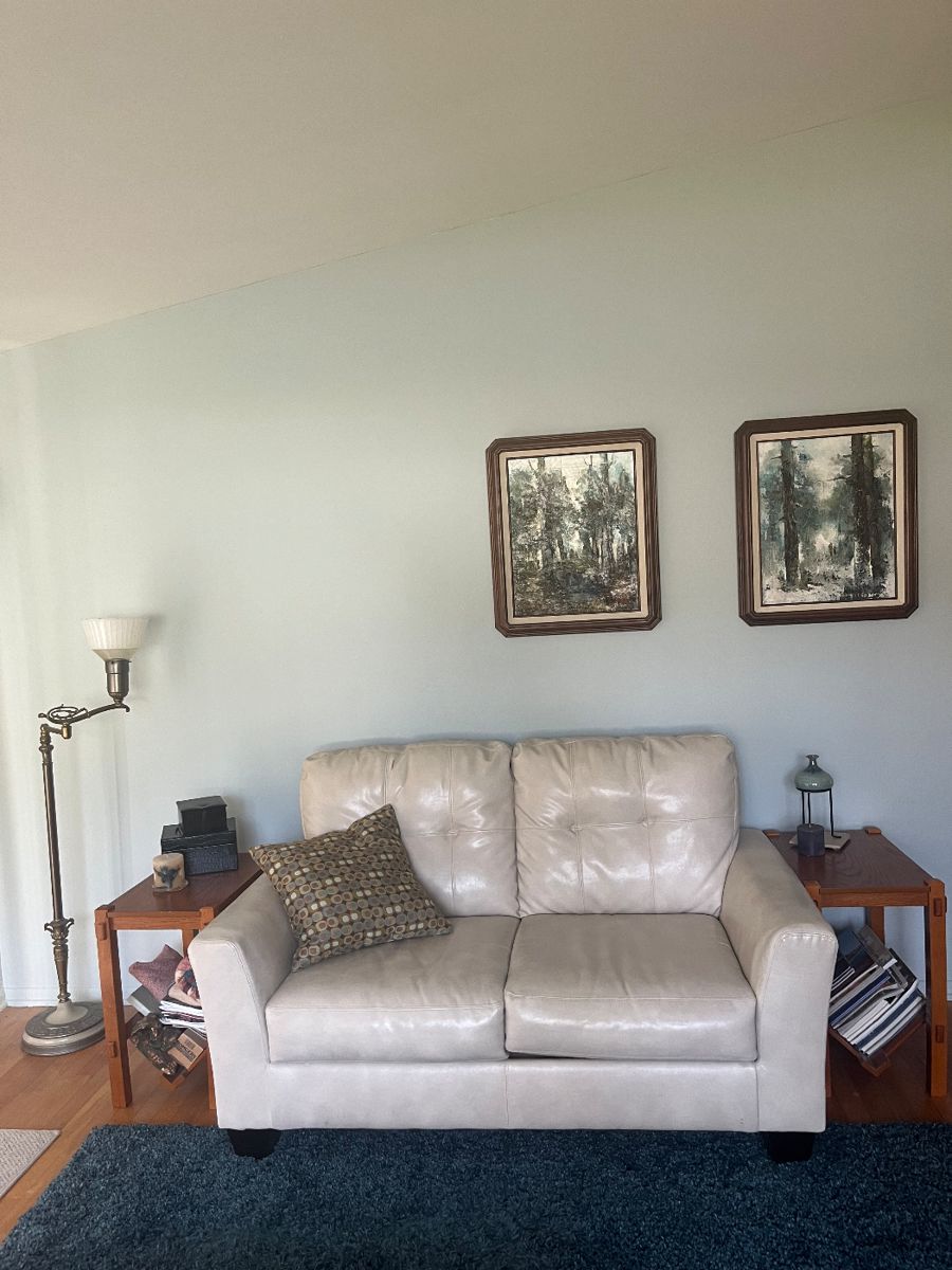 Kellie’s Blue Moon Estate Sale in Lansing starts on 11/17/2023