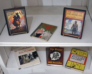 Interesting books - 2 with beautiful illustrations