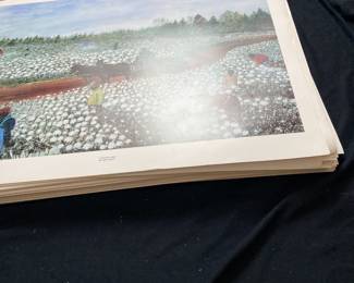 Cotton Crop-Judy Doucet numbered & not numbered. 