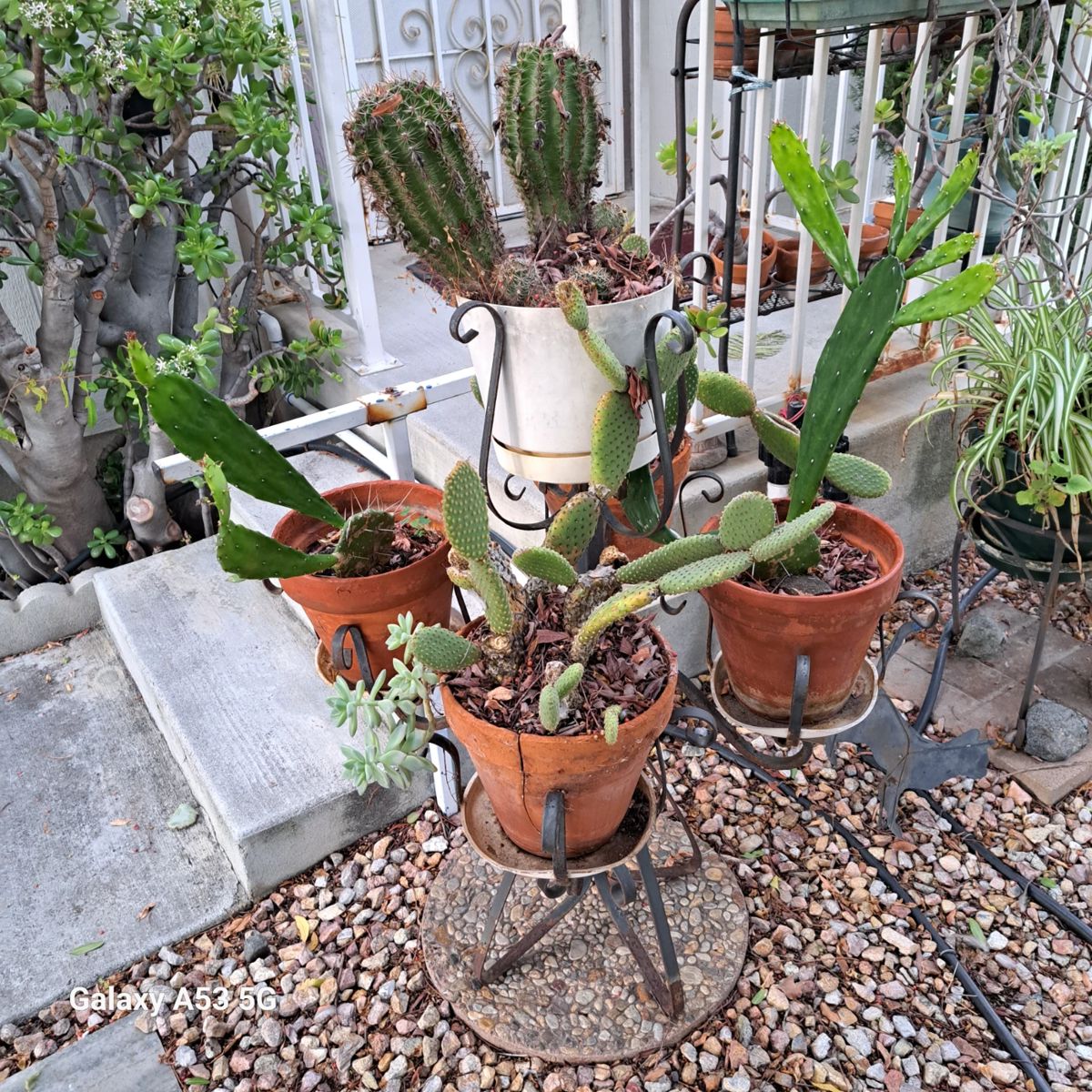 Murrieta Spring Golf Knolls Estate Sale starts on 1/18/2024