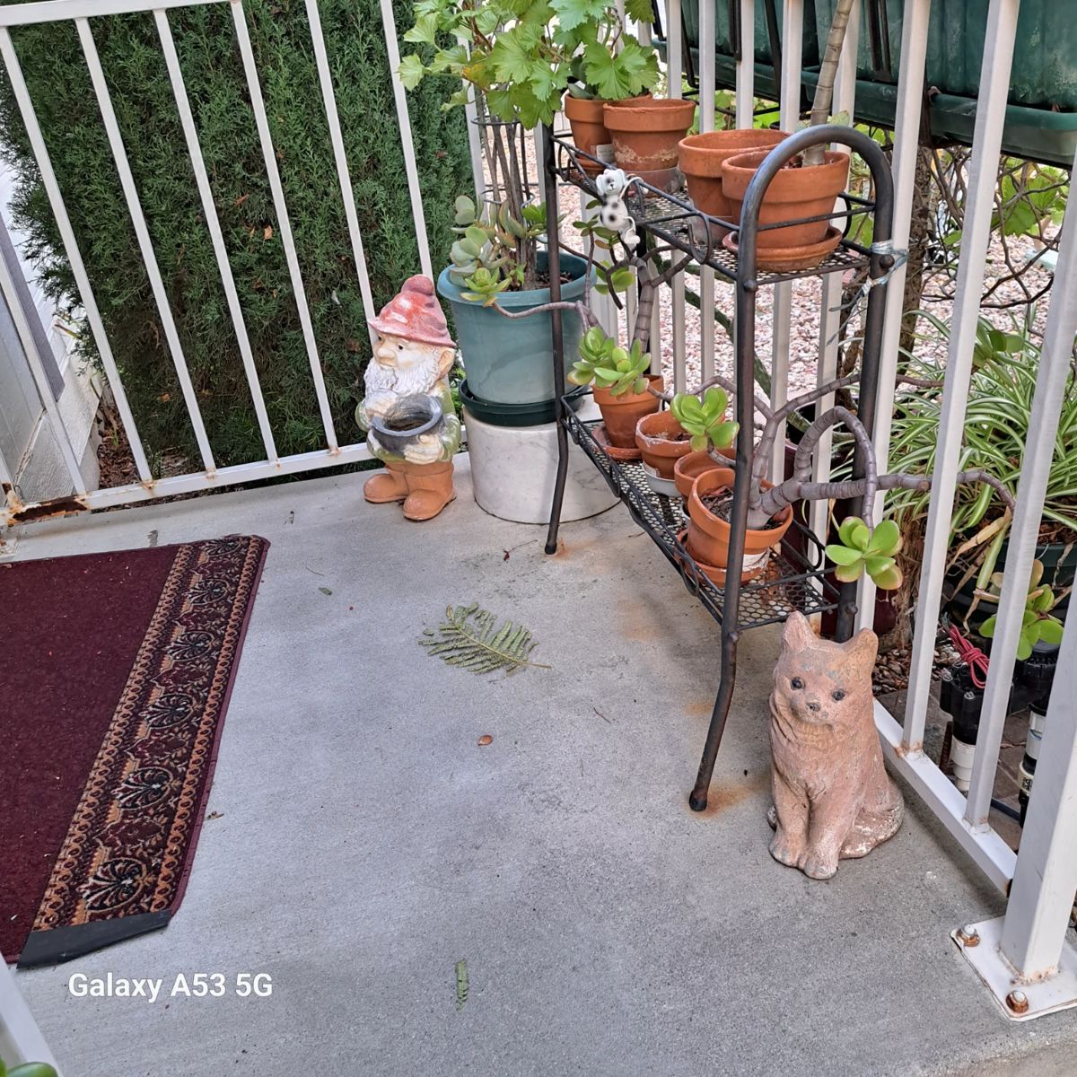 Murrieta Spring Golf Knolls Estate Sale starts on 1/18/2024