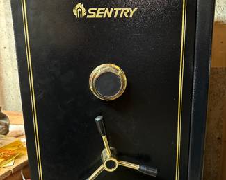 Sentry Gun Safe