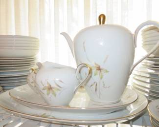 Aurora 91 Pcs Edelstein Bavaria China Set