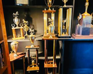 Equestrian trophies