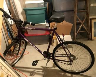 Mongoose/ Switchback Bike