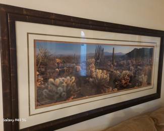 Large desert cactus picture