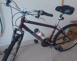 Raleigh bike