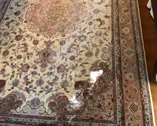 Long & Exquisite Carpet in Hallway