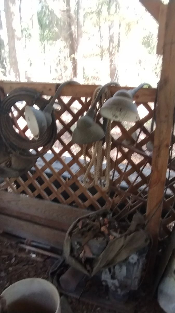 Super fun pickers dream estate sale starts on 11/9/2023