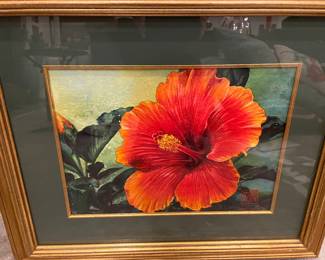Soon Warren original watercolor of bright orange red hibiscus 