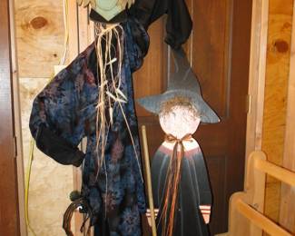Witch one do you choose?  Halloween decor.