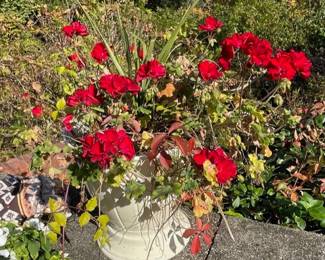 Pair of planters with blooming flowers.
