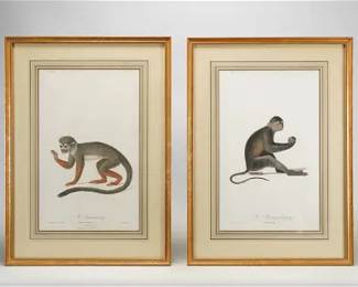 Buffon Natural History Pair of Framed Original 18thC Hand Colored Monkey Prints
