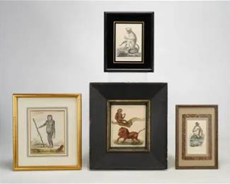 Lot of Four Antique 18th/19thC Framed Mammal Hand Colores Monkey Prints
