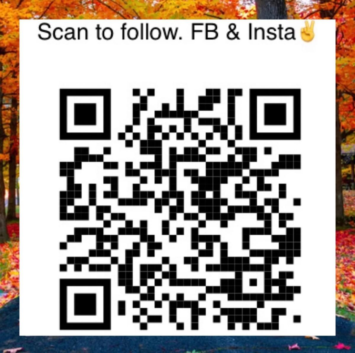 Spectacular ELITE Estate Sale -sewing, craft... starts on 11/10/2023