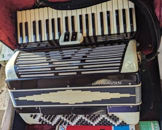 Learn to play the accordion