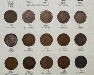 1857-1909 Flying Eagle & Indian Head 1 Cent Penny  Book Set 59 Coins 	7.75x6in		107089