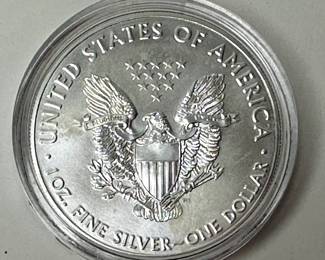 2019 $1 Dollar American Silver Eagle One Ounce Uncirculated Coin  .999 Fine Silver 	Case: 2in Diameter 		107044
