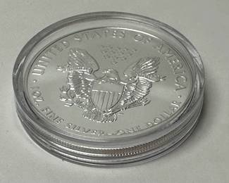 2020 $1 Dollar American Silver Eagle One Ounce Uncirculated Coin  .999 Fine Silver 	Case: 2in Diameter 		107045
