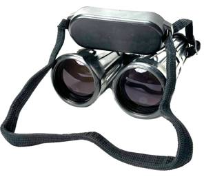 Carl Zeiss Dialyt  8x56 B Vintage Binoculars in Case 8x56B	Case: 10.5x6.25x3in		940002