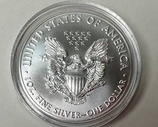 2020 $1 Dollar American Silver Eagle One Ounce Uncirculated Coin  .999 Fine Silver 	Case: 2in Diameter 		107045
